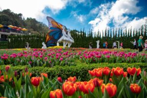 PAKET TOUR KE KOTA DANANG – BANA HILLS – HOI AN 4 HARI - Gambar 5
