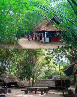 PAKET TOUR 8D7N TOUR VIETNAM  HANOI – HALONGBAY – SAPA –  DANANG – HOI AN – HOCHIMINH - Gambar 6